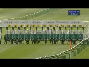 Video preview image for Newmarket 14:00 - Chemtest EBF Stallions Maiden Fillies' Stakes (Plus10)