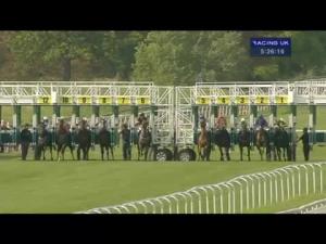 Video preview image for York 17:20 - Constant Security Stakes (Handicap)