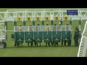 Video preview image for Hamilton Park 17:50 - Irish Stallion Farms EBF Maiden Stakes (Qualifier For The 20,000 Highland Spring Water Hamilton Park 2-y-o Series Final)