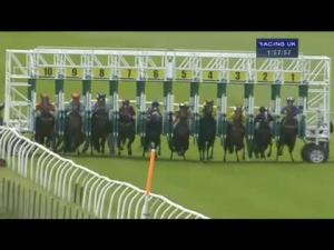 Video preview image for Thirsk 13:55 - Irish Stallion Farms EBF Maiden Fillies' Stakes (Plus10) (Div 1)
