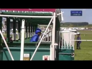 Video preview image for Newbury 14:00 - Al Rayyan Stakes (Registered As The Aston Park) (Listed)