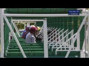 Video preview image for Newbury 14:35 - Toronado Carnarvon Stakes (Listed)