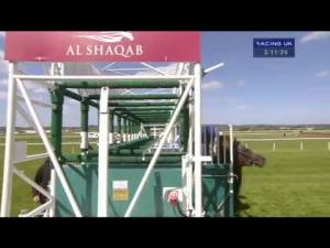 Video preview image for Newbury 15:10 - Al Zubarah London Gold Cup (Open Handicap)