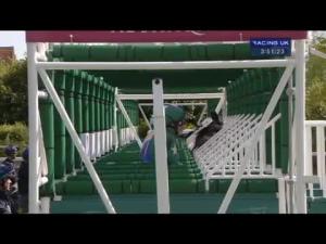 Video preview image for Newbury 15:45 - Al Shaqab Lockinge Stakes (British Champions Series) (Group 1) (Str)