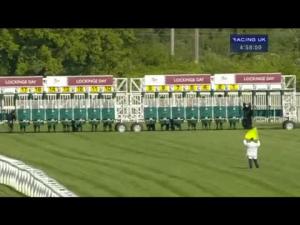 Video preview image for Newbury 16:55 - Planteur Handicap (Str)