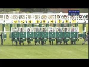 Video preview image for Ayr 14:20 - Bacardi Carta Oro Handicap
