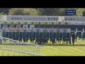 Video preview image for Sandown Park 18:25 - Apollobet Best Odds Guaranteed Handicap