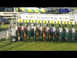 Video preview image for Sandown Park 19:00 - Apollobet Enhanced Racing Specials Handicap