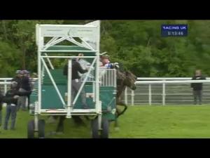 Video preview image for Goodwood 17:10 - Iba Handicap