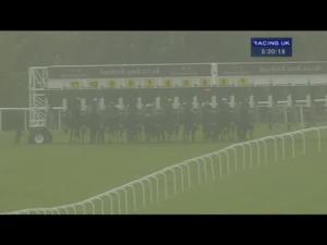 Video preview image for Haydock Park 17:20 - Bryn Handicap