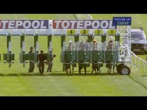 Video preview image for Catterick Bridge 13:50 - Toteplacepot Classified Claiming Stakes