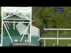 Video preview image for Goodwood 14:55 - 888Sport Handicap