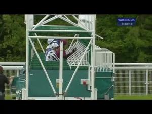 Video preview image for Goodwood 15:30 - ebfstallions.com Maiden Fillies' Stakes (Plus10)