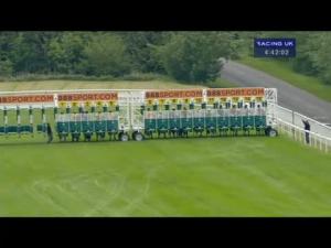 Video preview image for Goodwood 16:40 - Federation Of Bloodstock Agents Veterans' Handicap