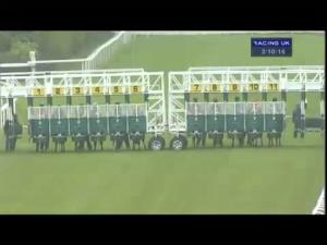 Video preview image for Hamilton Park 15:10 - Avon Gorge Handicap