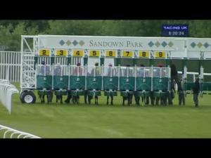Video preview image for Sandown Park 20:15 - Cantor Fitzgerald Corporate Finance Heron Stakes (Listed)