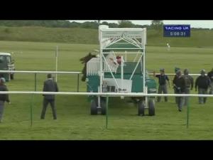 Video preview image for Newmarket 17:05 - Bet 25 Get 50 At winner.co.uk Handicap