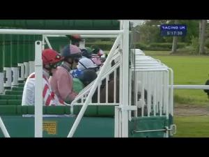 Video preview image for York 17:15 - John Wright Electrical Gentleman Amateur Riders' Stakes (Handicap)