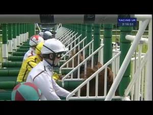 Video preview image for Nottingham 14:15 - Phs Workplace Consumables EBF Maiden Stakes