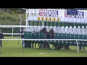 Video preview image for Nottingham 15:50 - Bet Totetrifecta Handicap