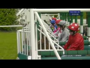 Video preview image for Hamilton Park 15:00 - Watt Fences and Watt Plastics Open Maiden Stakes