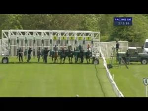 Video preview image for Catterick Bridge 14:15 - yorkshire-outdoors.co.uk Selling Stakes
