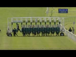 Video preview image for Catterick Bridge 16:45 - catterickbridge.co.uk Handicap