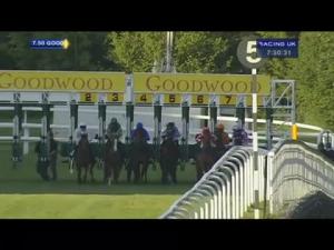 Video preview image for Goodwood 19:50 - EBF Stallions Breeding Winners Fillies' Handicap