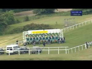 Video preview image for Goodwood 15:00 - Condiment Co. Sussex Valley Handicap