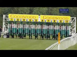 Video preview image for Goodwood 15:30 - Veterans' Handicap