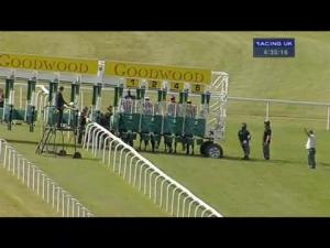 Video preview image for Goodwood 16:35 - Goodwood Selling Stakes