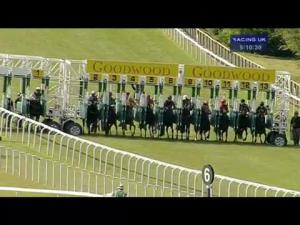 Video preview image for Goodwood 17:10 - Coco Charity Race Day Handicap
