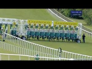 Video preview image for Goodwood 17:40 - Heros Charity Handicap