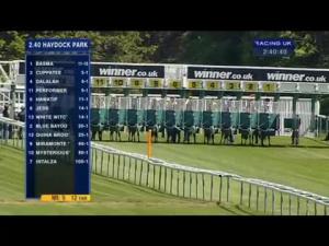 Video preview image for Haydock Park 14:40 - Longines Irish Champions Weekend EBF Maiden Fillies' Stakes (Plus10)