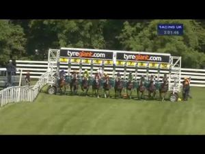 Video preview image for Beverley 15:00 - Follow Us On Twitter At Beverley_races Handicap (Div 2)