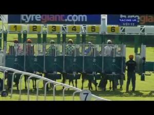 Video preview image for Beverley 17:00 - Skidby Maiden Stakes