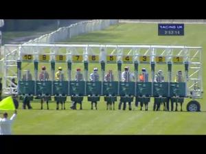 Video preview image for Newbury 14:50 - Crossland EBF Stallions Maiden Fillies' Stakes