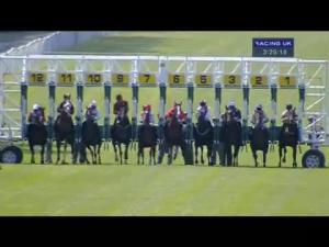 Video preview image for Newbury 15:25 - Lord Weinstock Memorial EBF Stallions Stakes (Registered As The Ballymacoll Stud Stakes) (Fillies' Listed)