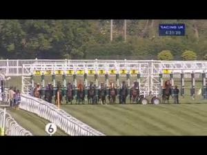 Video preview image for Newbury 16:30 - Be Wiser Insurance Handicap (Str)