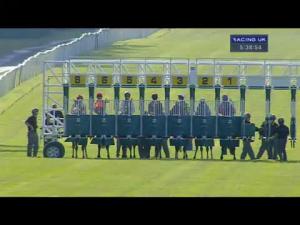 Video preview image for Newbury 17:35 - Wiser Academy Gentleman Amateur Riders' Handicap