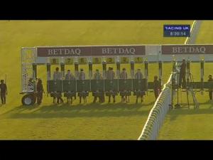 Video preview image for Haydock Park 20:20 - Brian and Lindsay Pells' Ruby Wedding Maiden Stakes