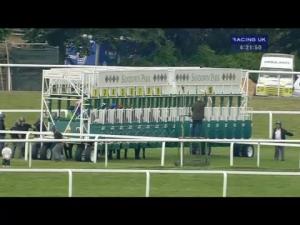 Video preview image for Sandown Park 16:20 - Enterprise Finance Supports Lewis Ward Memorial Handicap