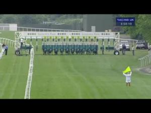 Video preview image for Sandown Park 16:55 - Beck Handicap