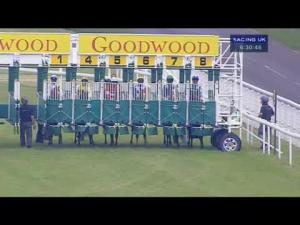 Video preview image for Goodwood 18:30 - Crimbourne Stud Maiden Auction Stakes (Plus10)