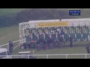 Video preview image for Goodwood 19:35 - Gorgon City Handicap