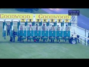 Video preview image for Goodwood 20:45 - Golf At Goodwood Handicap