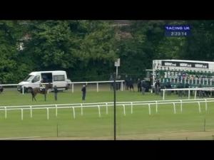 Video preview image for Sandown Park 14:20 - Winner Sports Handicap