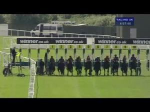 Video preview image for Sandown Park 16:05 - winner.co.uk Casino Handicap