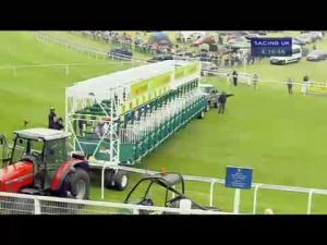 Video preview image for Chester 16:15 - Crabbie's Original Handicap