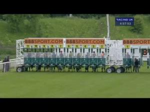 Video preview image for York 16:55 - Reg Griffin Appreciation EBF Stallions Maiden Stakes (Plus10)